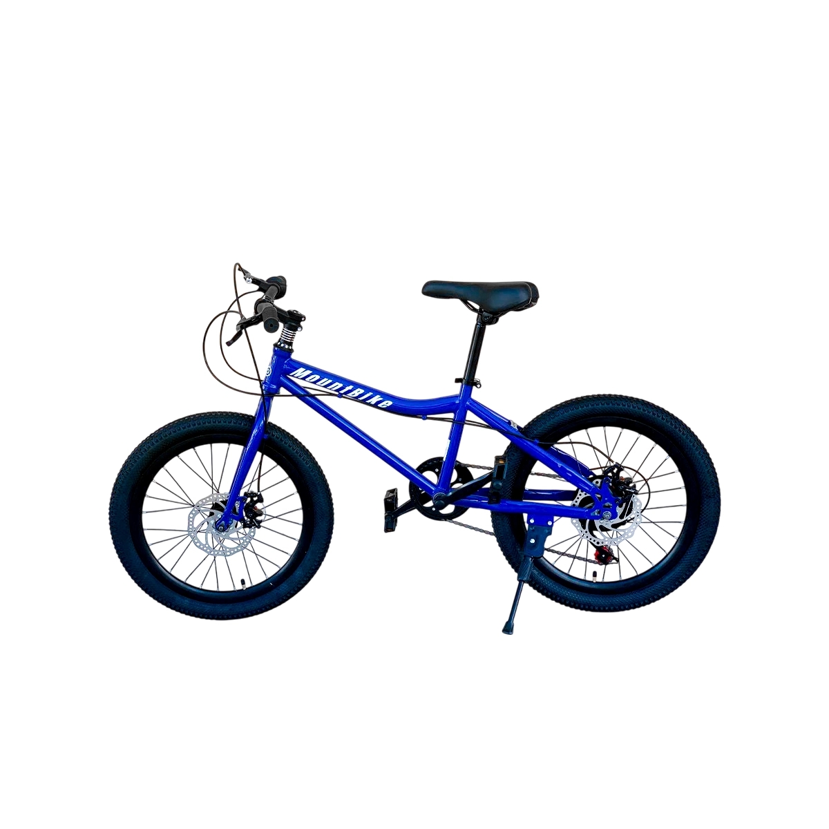Bicicleta Rin 20 Color Azul y Blanco Mountbike