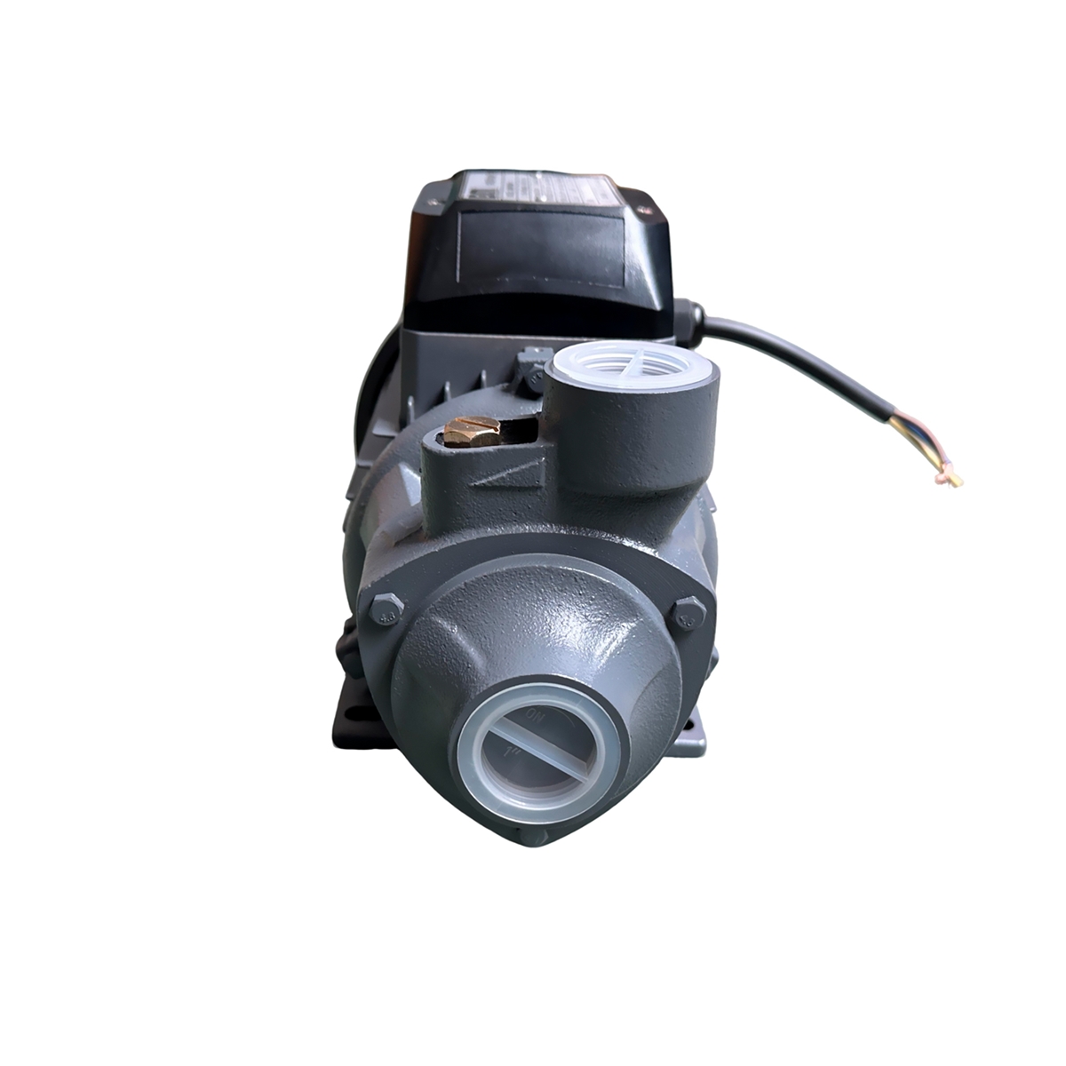Bomba De Agua 1 HP Voltaje 110V / 220V BM - Miniatura 2