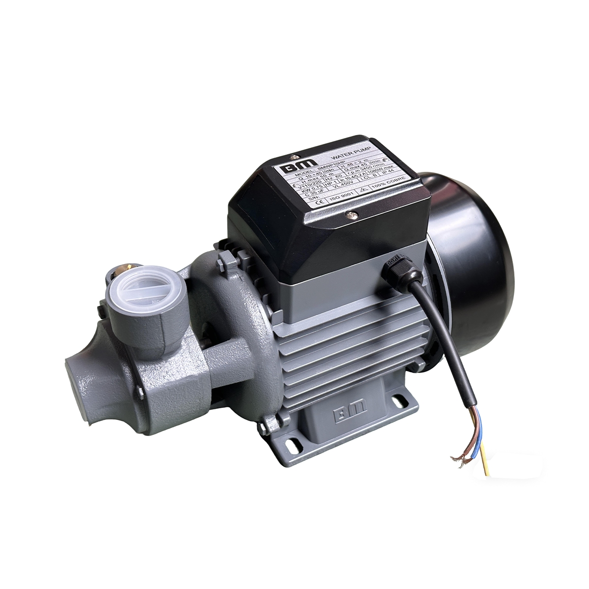Bomba De Agua 1 HP Voltaje 110V / 220V BM - Miniatura 3