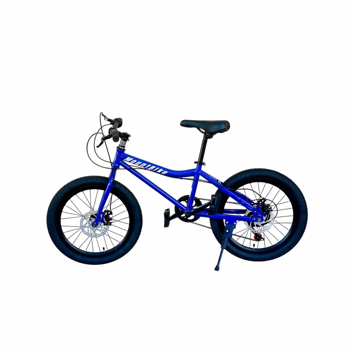 Bicicleta Rin 20 Color Azul y Blanco Mountbike