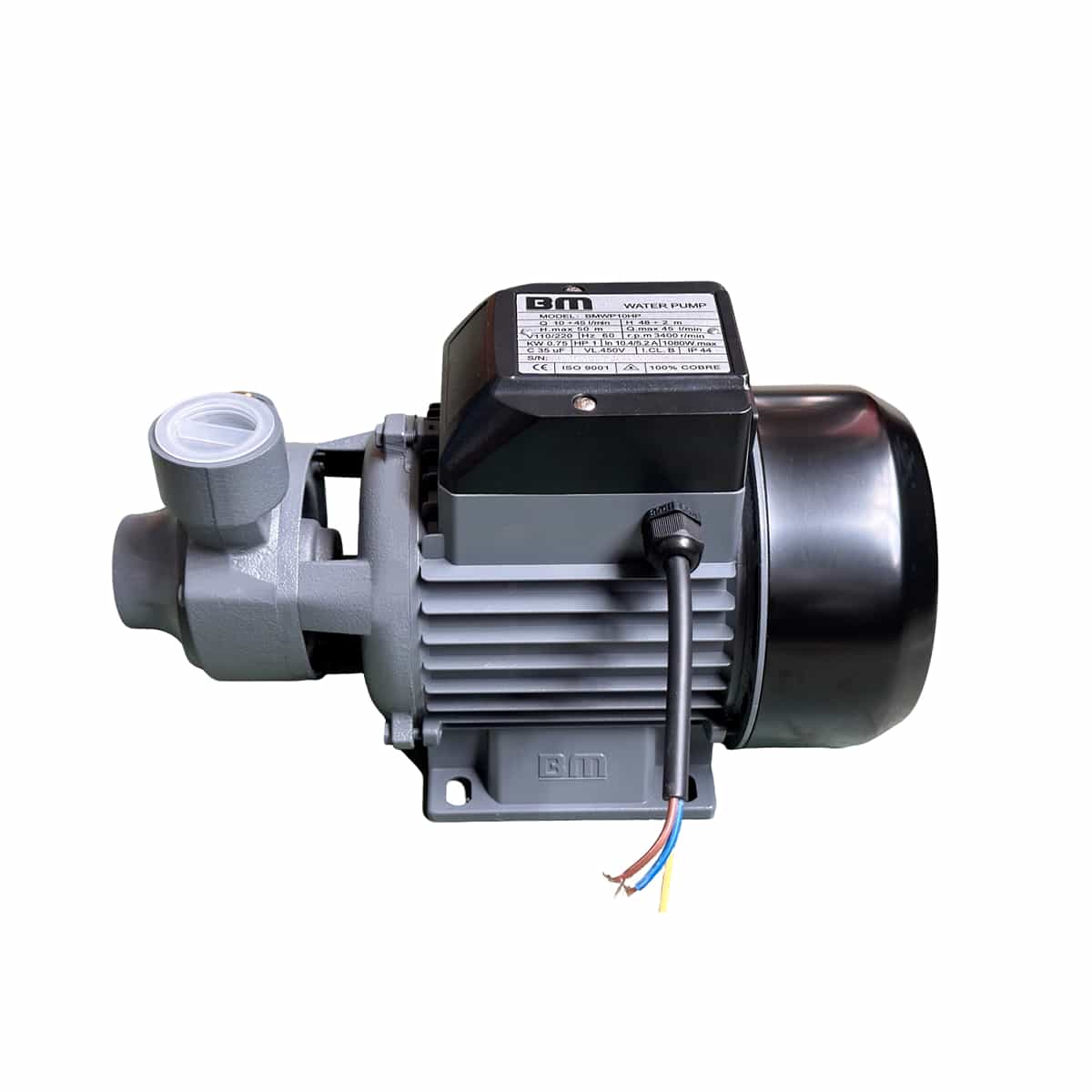 Bomba De Agua 1 HP Voltaje 110V / 220V BM